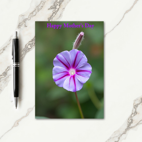 Radiant Magenta Mothers Day Card