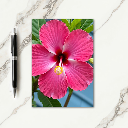 Radiant Petals Mothers Day Card