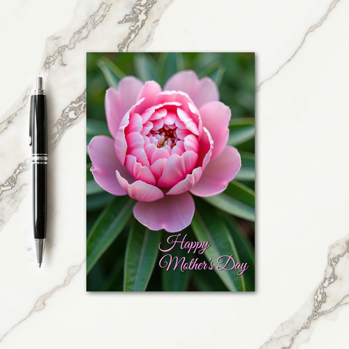 Radiant Rose Pattern Card