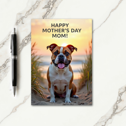 Radiant Sunset Dog Card