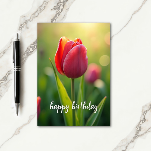 Radiant Tulip Birthday Card