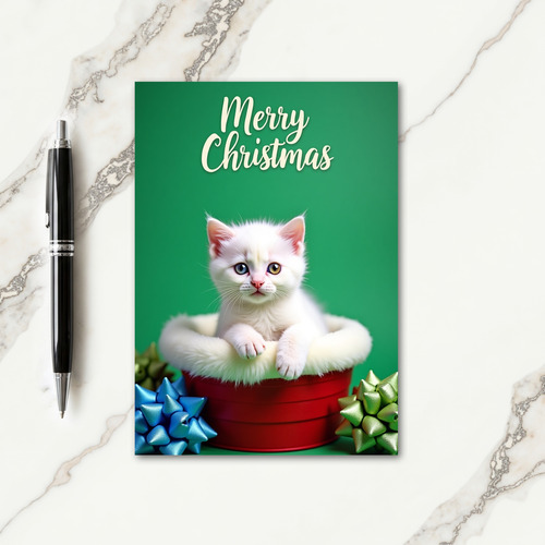 Red Box Kitten Christmas Card