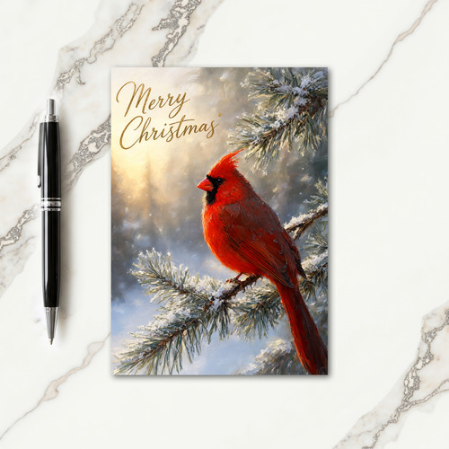 Red Cardinal Christmas Card