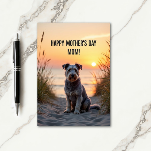 Rippled Sand Sunset Dog Card
