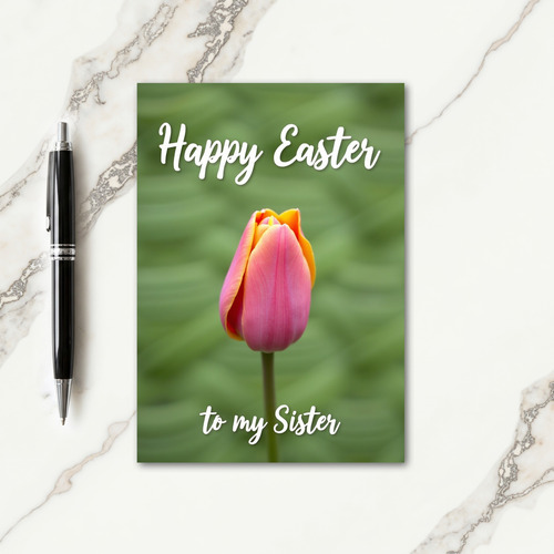 Rose Bloom Springtime Card