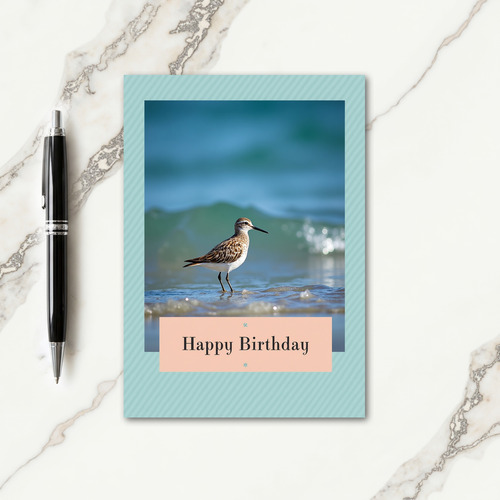 Serene Coastal Bird Birthday Card