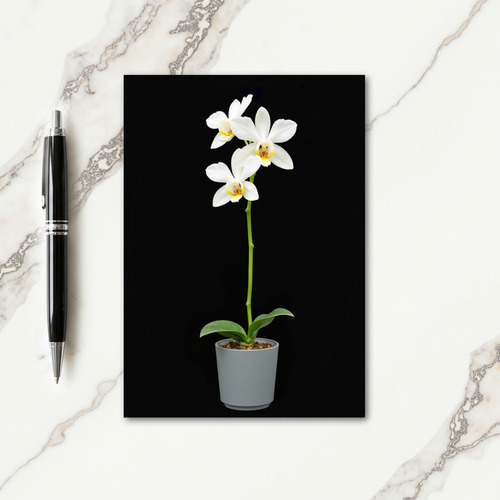 Serene Mothers Day Plant Card