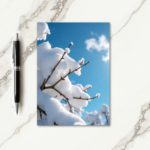 Snow Branch Christmas Card