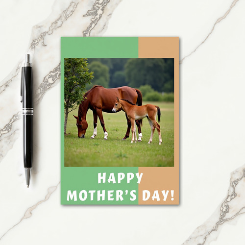 Split Border Equine Card