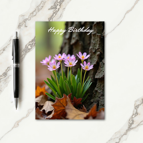 Star Flower Birthday Card
