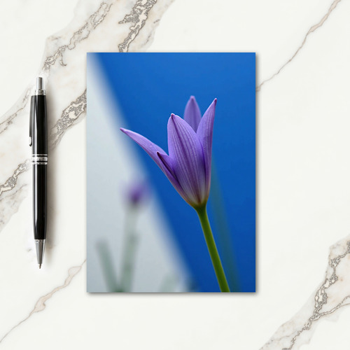 Striped Bloom Floral Card