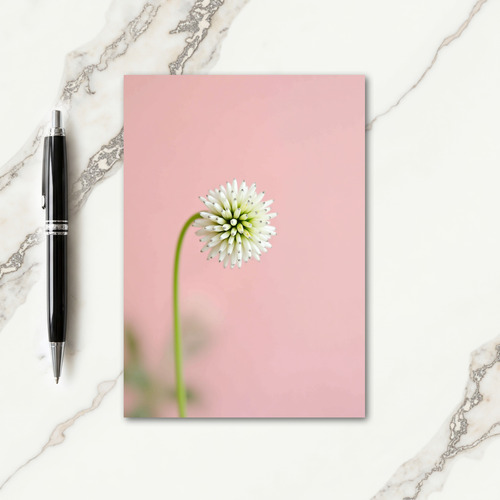 Striped Bloom Pastel Pink Card