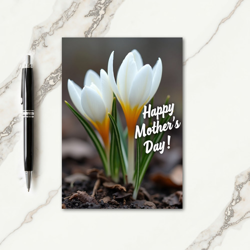 Striped Blossom Serenity Card