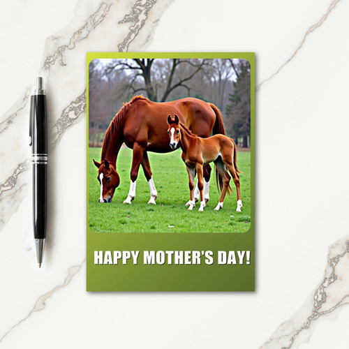 Striped Equine Family Card