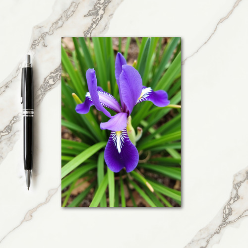 Striped Violet Bloom Close Card