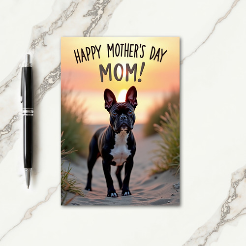 Sunset Companion Dog Card