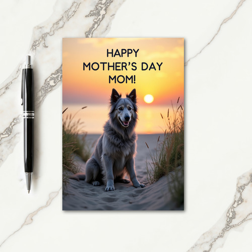 Sunset Dog Affection Card