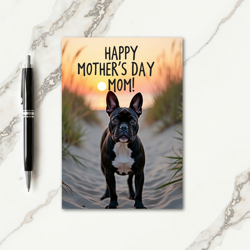 Sunset Dune Path Dog Card