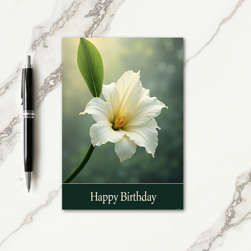Sweet White Blossom Card