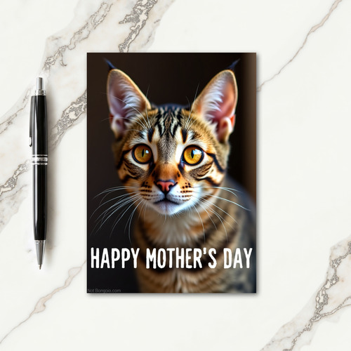Tawny Cat Mothers Day Card