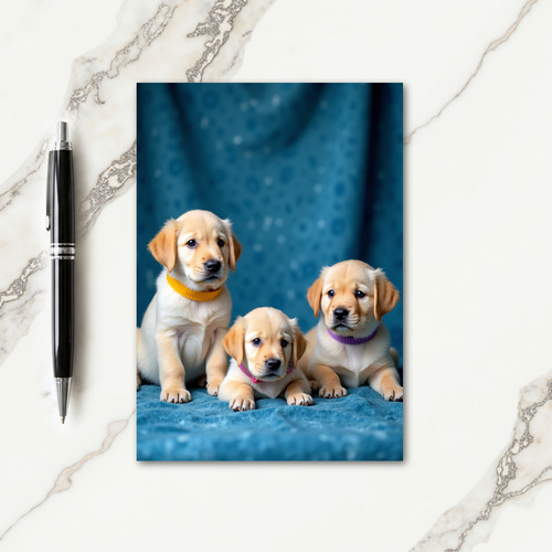 Teal Backdrop Fathers Day Card