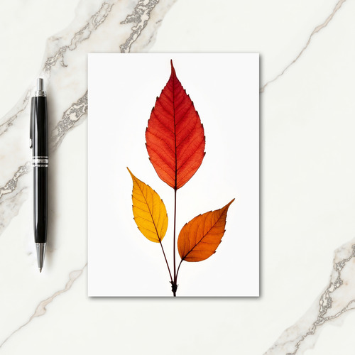 Thanksgiving Fall Colors Card thumbnail