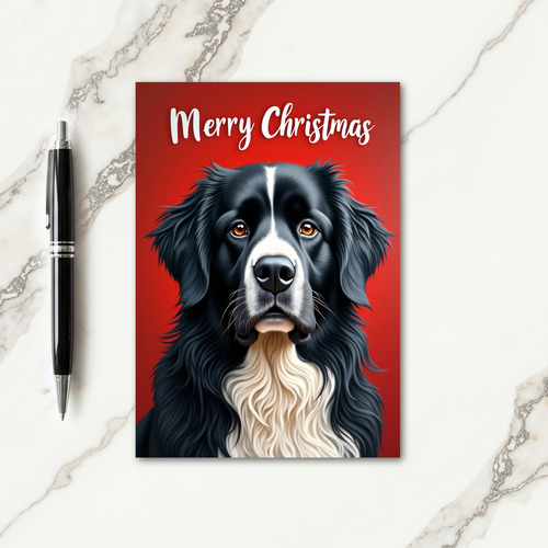 Velvet Dog Christmas Card