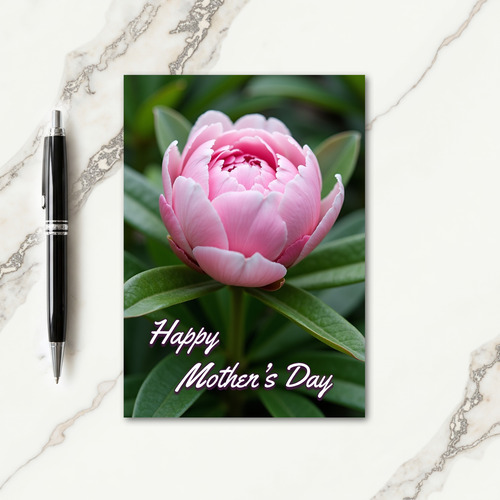 Velvet Pink Flower Card