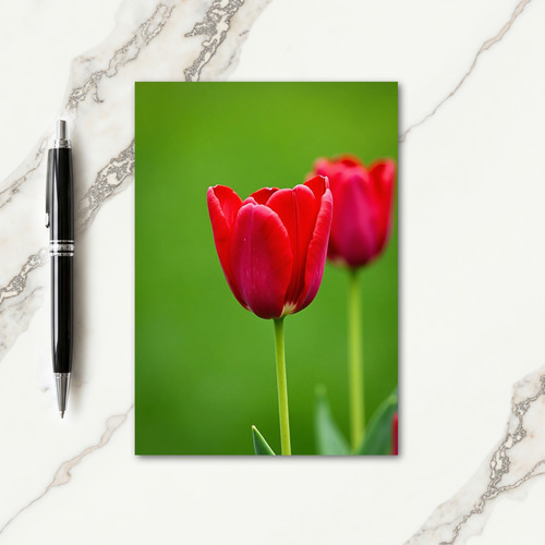 Velvet Red Flower Mothers Day Card