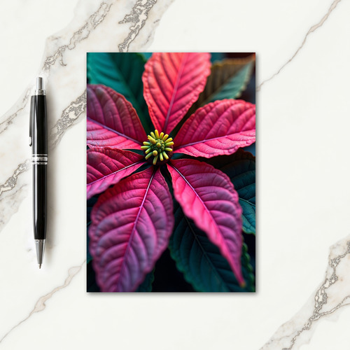 Vibrant Christmas Bloom Card