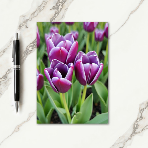 Violet Edge Mothers Day Card