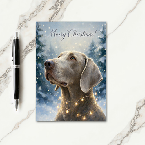 Weimaraner Christmas Card