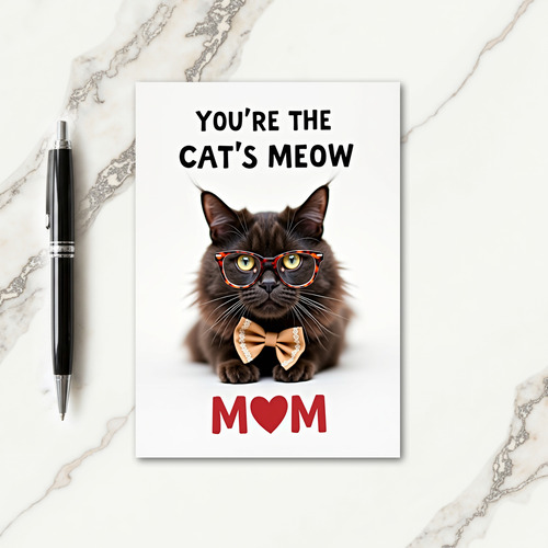 White Backdrop Cat Card
