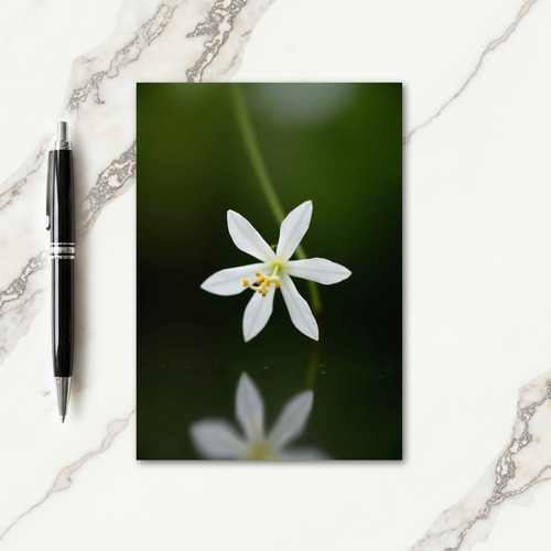 White Blossom Mothers Day Photo Card