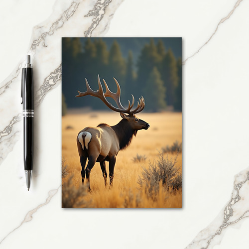 Wildlife Fathers Day Nature Card