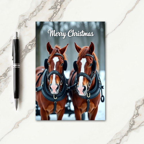 Winter Horse Christmas Card