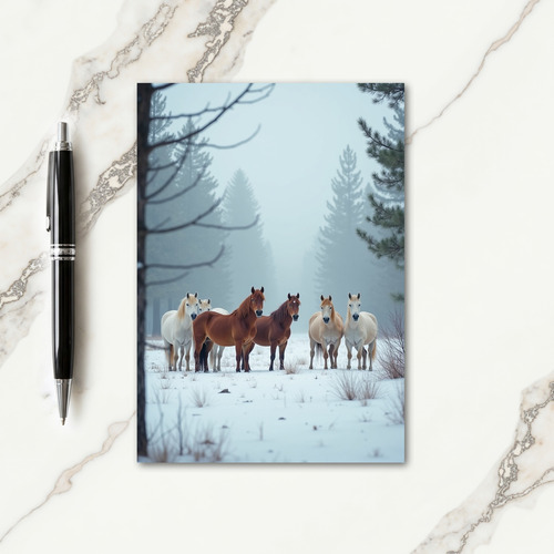 Winter Steeds Christmas Card
