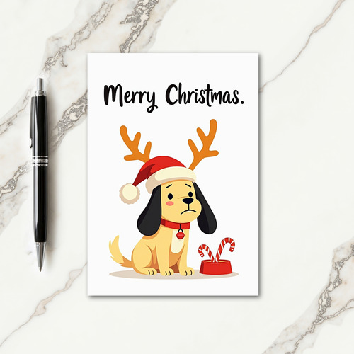 Wistful Canine Christmas Card